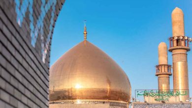 A96FC497 345D 49BA 8D0C F3BEBCCD1CFD