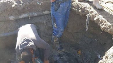 ABB2FABA 027E 4FA3 A01E BDF2339CBA28