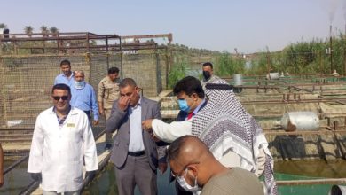 B6AD3FC6 E079 4020 A723 22AE7330A37C