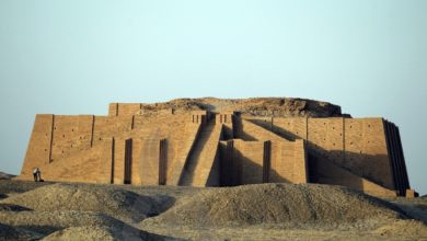 C9CDC15A BBDB 4506 B577 0C9BE8E7668A