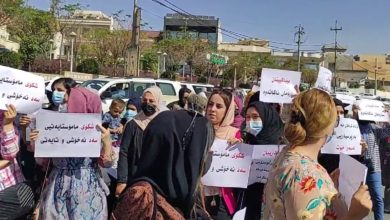 CC0FA301 BA0D 48A8 878C F772998AD886