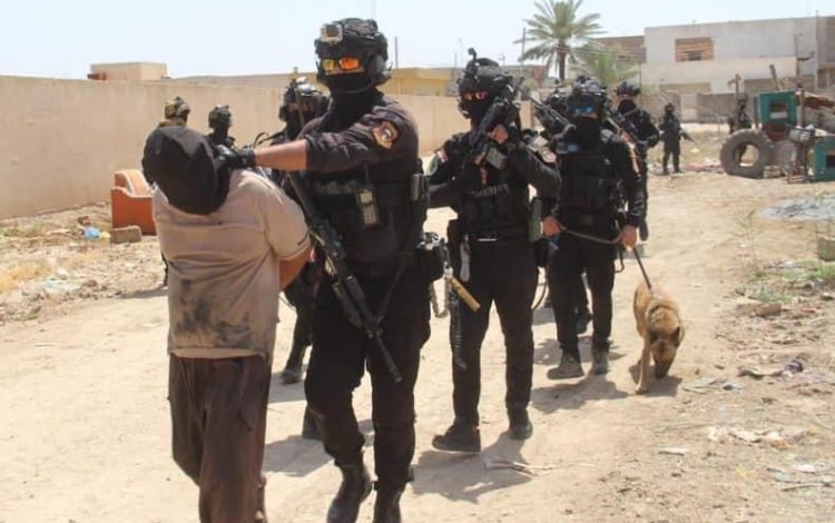 D06CF2D7 ACF7 484D 82BA 817A018E24B9