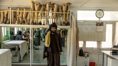 D3A2FF56 14D6 4641 A146 5A577DF7F380