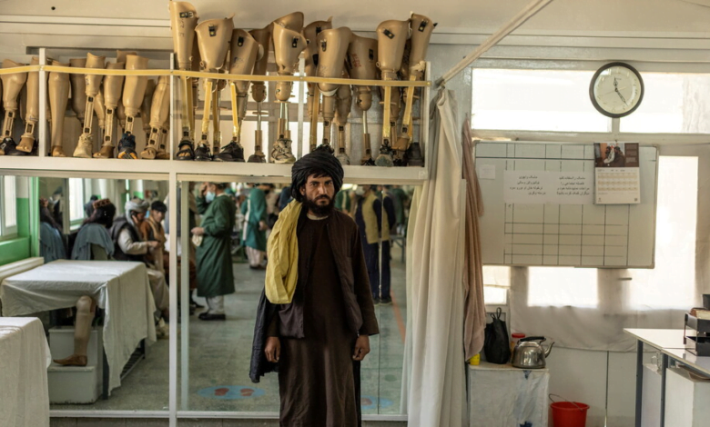 D3A2FF56 14D6 4641 A146 5A577DF7F380