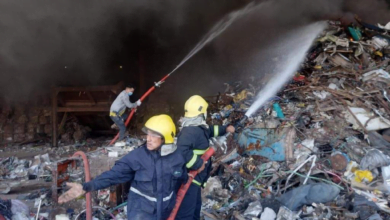 D6E2F7D8 112D 4987 B29A 8BFB497E8AA5