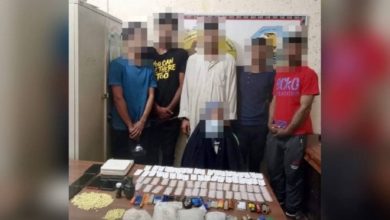 D70161EA D21A 478D 880D BC298FDE0642