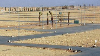 D7244622 02D9 436C 8973 6B00F4ABA941