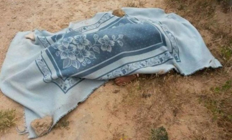 D75BCBD7 82AA 4C6A B751 9E3E534E7B9A