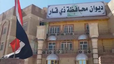 D9153523 5ECA 47C8 8B78 AB9DA9700905