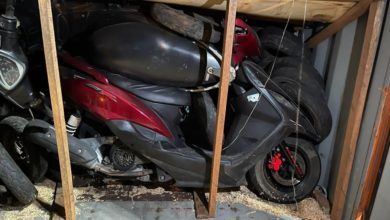 DCFAFF3B F942 4F04 BD2A 1A464450B9B0