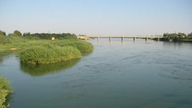 الإعلام الحكومي يصدر إجراءات قانونية ضد المتجاوزين على ناظم الكحلاء 5 E6462446 B22D 4A6F 9AFE D619236EA654