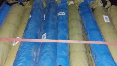 E89B101F 515B 4811 A156 BF381B6C1515