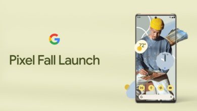 EDBEC243 22BC 4595 8031 4A64BE2D55AE