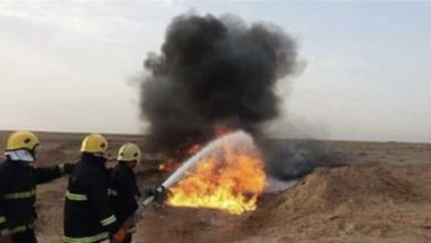 F1203253 23F1 4CA5 B381 C88C3682A41B