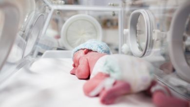 F242D1D9 CC3B 4B0E BEA8 B3A184ADFBE3