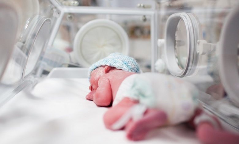 F242D1D9 CC3B 4B0E BEA8 B3A184ADFBE3