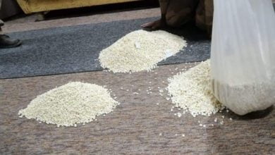 FB IMG 1633790364899