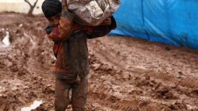 عمالة الأطفال ومخاطرها 4 FB IMG 1635073975487