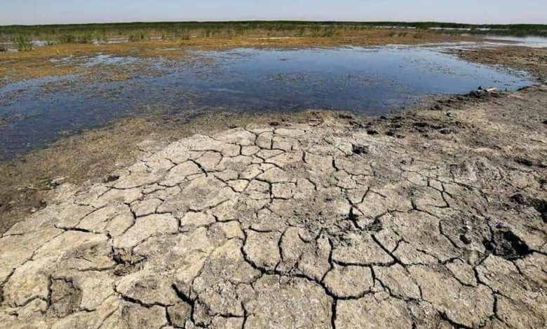 FB IMG 1635240528647