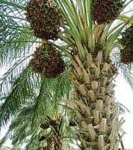 FB IMG 1635457928963