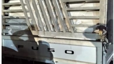 IMG ٢٠٢١١٠١٦ ١٦٥٤٣٤