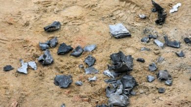 IMG ٢٠٢١١٠٢٤ ١٩١١٣٧