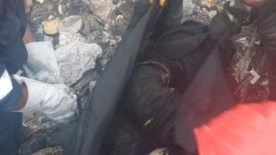 IMG ٢٠٢١١٠٢٤ ٢١٢١٣٠