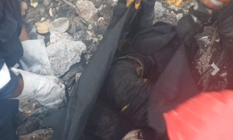 IMG ٢٠٢١١٠٢٤ ٢١٢١٣٠