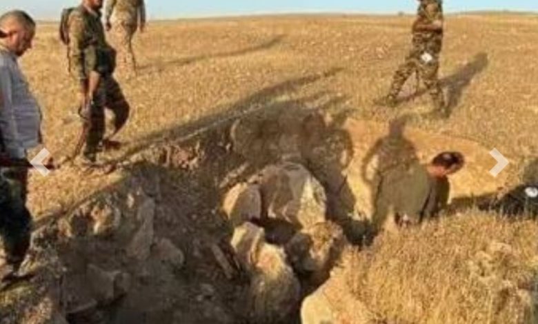 IMG ٢٠٢١١٠٢٥ ٢٢١٢٥٠