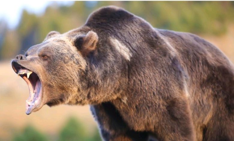 Screenshot ٢٠٢١١٠٠٥ ١٢٠٨٢٨