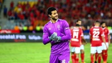 الشناوي 600x330 1