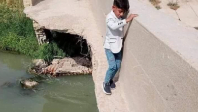 069C2132 BF4C 4F58 9649 B3D132C57553