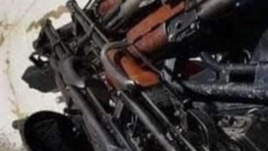 0E7A8238 E95B 464B 909B 2A0ED0E1F4F7