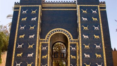 12D1E1F0 7929 45EB 85E6 6B1D88CC5108