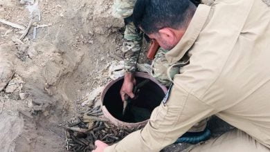 1515112021 photo 2021 11 15 18 03 35