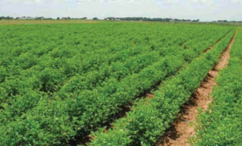 17965535 892F 4994 B598 D8F3EAAF6562