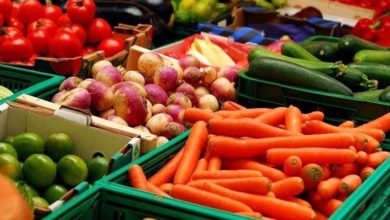 الزراعة تعتمد آلية جديدة تخص المنتج المحلي في إقليم كردستان 4 1BED912B 044C 4408 A332 5D7228DB16C2