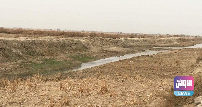 ديالى.. الجفاف يهدد بزوال غابات اشنونا 1 1E99F7F8 FD51 4404 A13A 3CE585EDBBB3