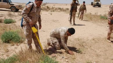 43464261 2B0E 4B6C BCD2 D24A27A5413D