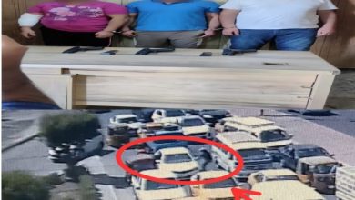 44CA25F0 BF30 41A2 9640 81BADC20222B