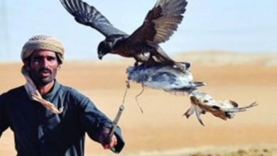 4B550CBB 90BF 4962 AD61 7E60467E1D8D