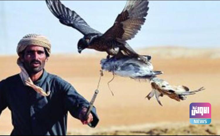 4B550CBB 90BF 4962 AD61 7E60467E1D8D