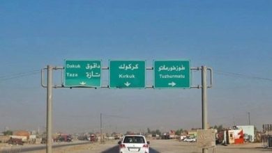 4DC203B9 DD65 42AF B07D D6EF17EE9832