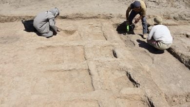 4DF3FAC1 39D0 4C3B 84C2 4863AC83D8D5