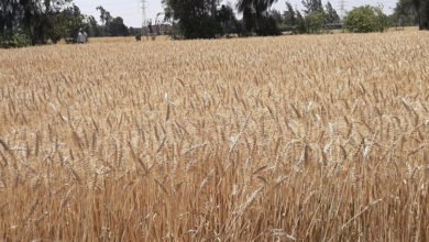 537BC946 631D 48A0 8802 C923DF84557C