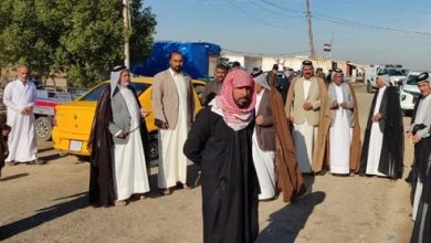 54D3E413 82B5 4665 92DA 73DD2C5F41EF