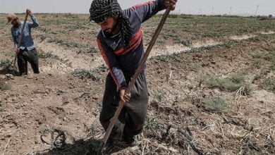 5723A1D1 AF4D 49FC 86CD A78BE73EF0FC