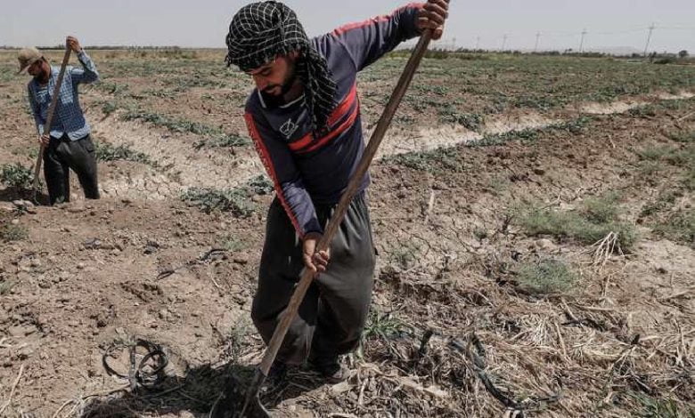 5723A1D1 AF4D 49FC 86CD A78BE73EF0FC