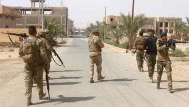 5ED2E615 808E 444C ABDF 8FDEF84A1331