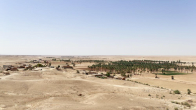 61412FD2 5BBE 45E3 8392 93C4A2B79111